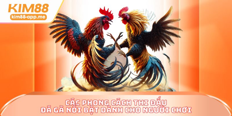 Các phong cách thi đấu đá gà nổi bật dành cho người chơi
