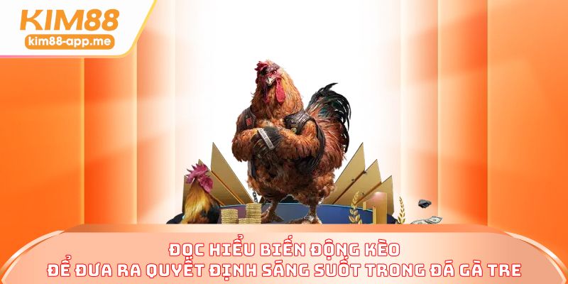 Đọc hiểu biến động kèo để đưa ra quyết định sáng suốt trong đá gà tre