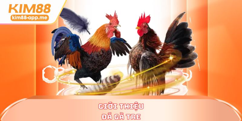 Giới thiệu đá gà tre