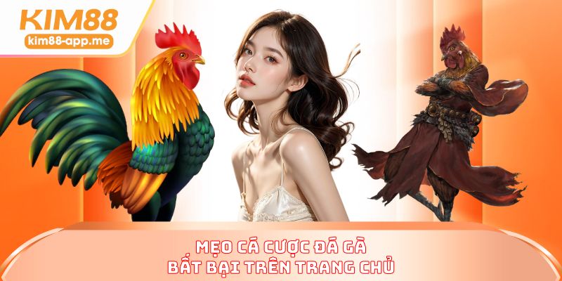 Mẹo cá cược đá gà bất bại trên trang chủ