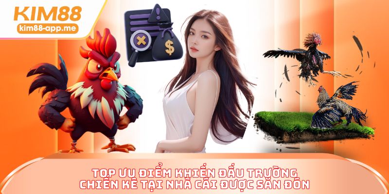 Top ưu điểm khiến đấu trường chiến kê tại nhà cái được săn đón